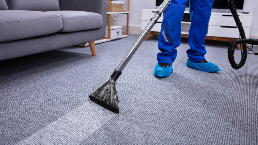 Legacy Clean professional offering bespoke cleaning add-on services such as carpet cleaning, oven cleaning, and fridge cleaning for homes and businesses in South London, Surrey, and West Sussex.